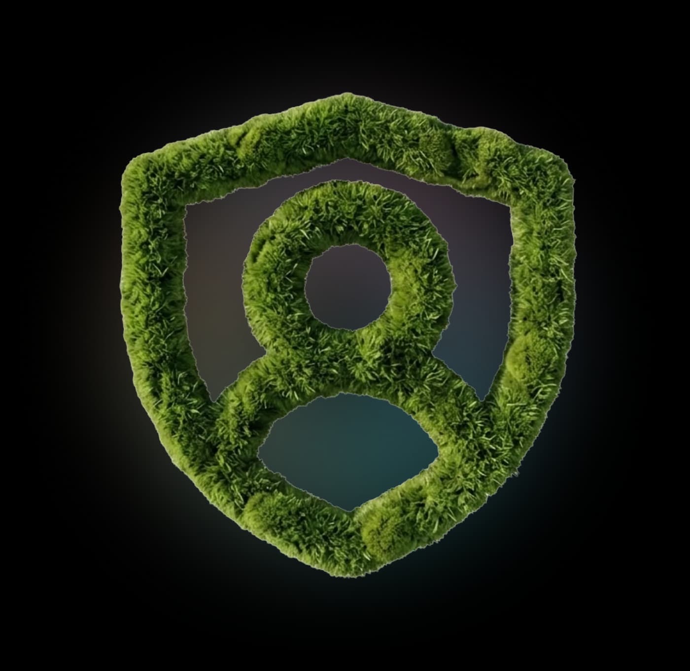Authenticated web